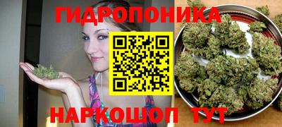 ECSTASY Донской