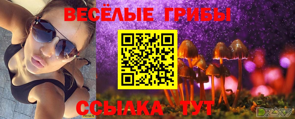 Псилоцибиновые грибы мухоморы Малоярославец