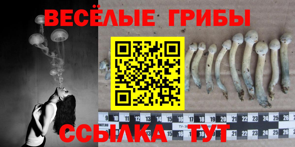 Галлюциногенные грибы Psilocybine cubensis  Псилоцибиновые грибы прущие грибы  Вход с VPN  Малоярославец 